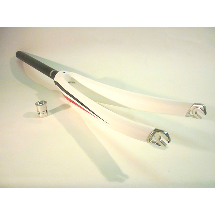 Fork Plasma 30 2010