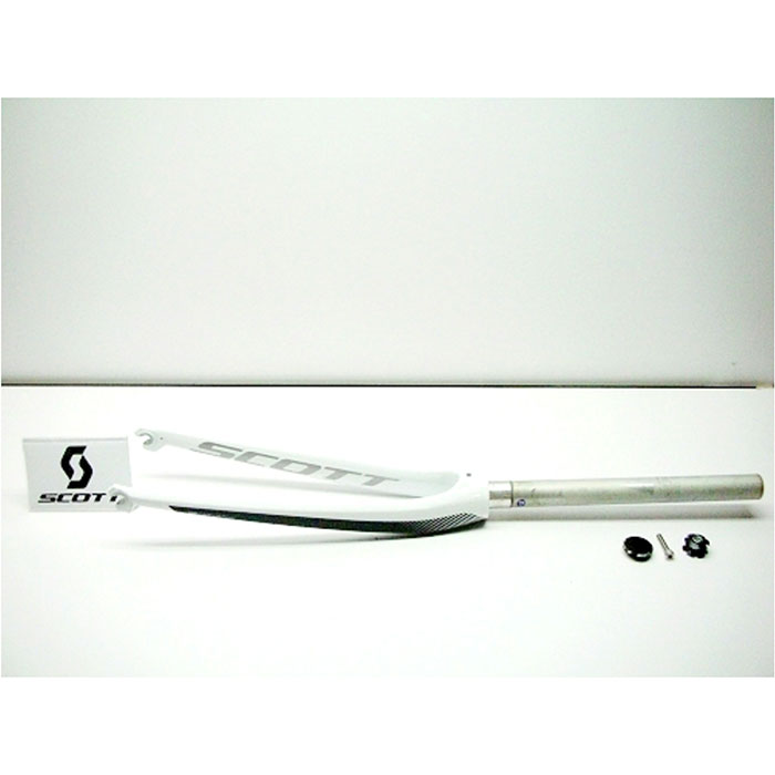 Fork Speedster S40 2012
