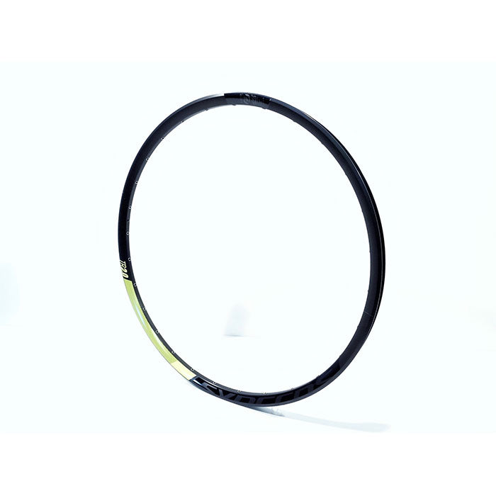 SCO Rim Sy/DT TR2.0 28H Genius 700 17