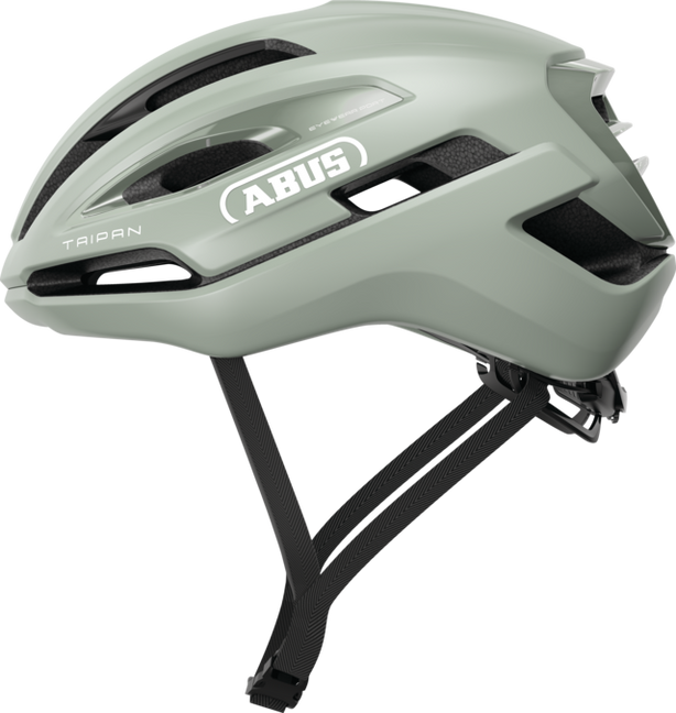 TAIPAN Abus