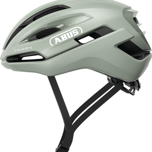 TAIPAN Abus